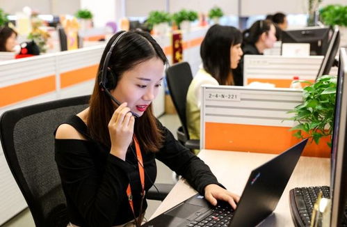 6類適合“老實(shí)人”的工作 在信息咨詢服務(wù)領(lǐng)域，找到人際關(guān)系簡(jiǎn)單、工資高又能做長(zhǎng)久的職業(yè)港灣