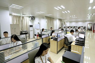 承德齊氏堂代理在線咨詢服務最新動態與信息咨詢服務指南