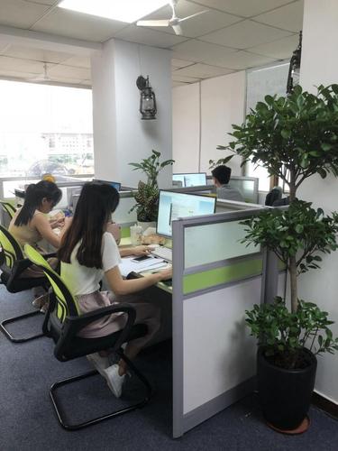 如何做好信息技術咨詢服務？踐行七點核心，真正賦能客戶